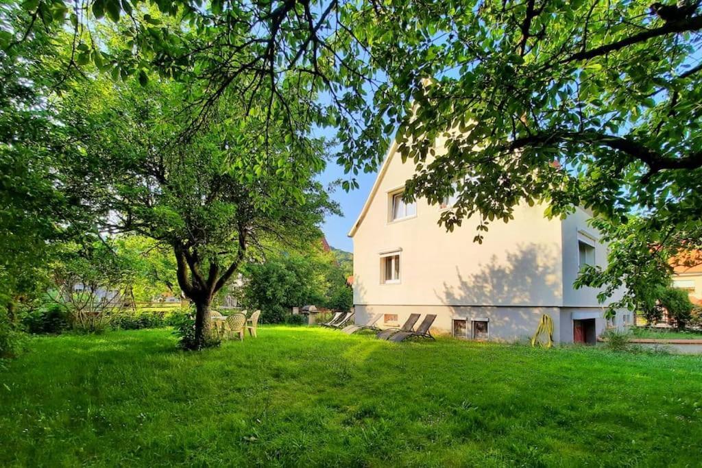 Rooms 4 Persons Kaysersberg Экстерьер фото